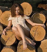 Организация распиловки и продажи дров