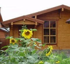 Как открыть магазин при садовом хозяйстве