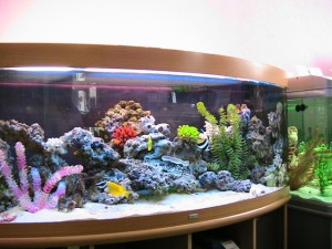 Как открыть  производство аквариумов