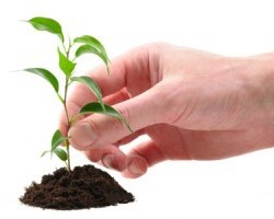 Продажа обогащенной земли