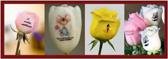 Технология нанесения изображений и надписей на цветах. Описание с картинками.