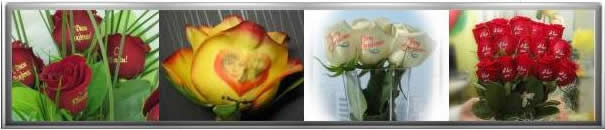 Технология нанесения изображений и надписей на лепестки цветов.