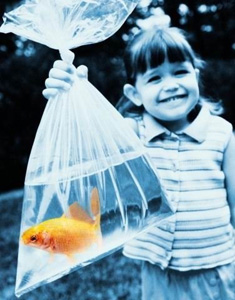 Покупатели платят за бренд Причина