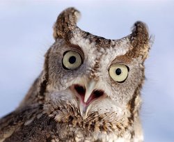 Как открыть мастерскую по мелкому ремонту